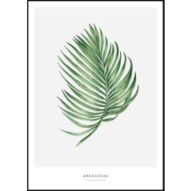 Poszterkép zöld színvilágban, választható fekete vagy fehér paszpartus kerettel.  Kérjük jelezd melyik színű keretben szeretnéd! Méretei: 61x91 cm keret méret/kép 50x70cm