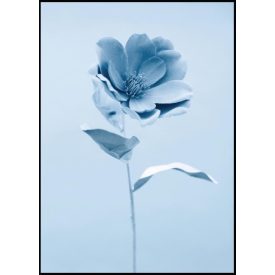 Poszterkép kék színvilágban, választható fekete vagy fehér paszpartus kerettel.  Kérjük jelezd melyik színű keretben szeretnéd! Méretei: 61x91 cm keret méret/kép 50x70cm