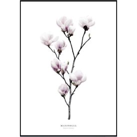 Poszterkép világosrózsaszín színvilágban, választható fekete vagy fehér paszpartus kerettel.  Kérjük jelezd melyik színű keretben szeretnéd! Méretei: 61x91 cm keret méret/kép 50x70cm