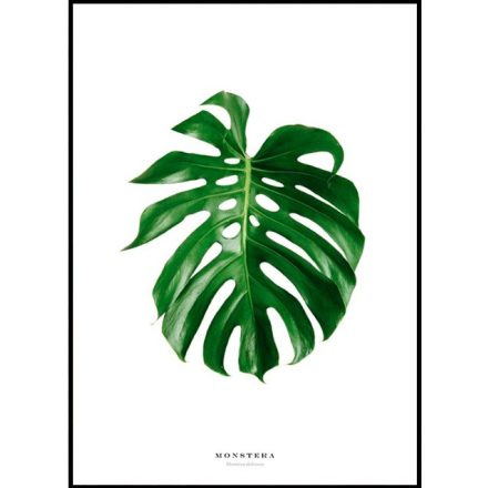 Poszterkép zöld színvilágban, választható fekete vagy fehér paszpartus kerettel.  Kérjük jelezd melyik színű keretben szeretnéd! Méretei: 61x91 cm keret méret/kép 50x70cm