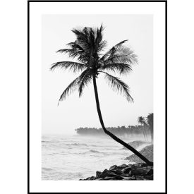 Poszterkép fekete fehér színvilágban, választható fekete vagy fehér paszpartus kerettel.  Kérjük jelezd melyik színű keretben szeretnéd! Méretei: 61x91 cm keret méret/kép 50x70cm