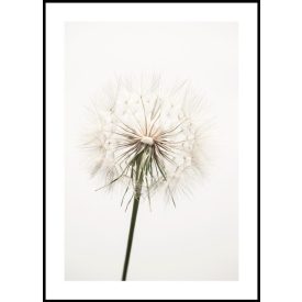 Poszterkép fekete fehér színvilágban, választható fekete vagy fehér paszpartus kerettel.  Kérjük jelezd melyik színű keretben szeretnéd! Méretei: 61x91 cm keret méret/kép 50x70cm