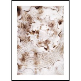 Poszterkép bézs színvilágban, választható fekete vagy fehér paszpartus kerettel.  Kérjük jelezd melyik színű keretben szeretnéd! Méretei: 61x91 cm keret méret/kép 50x70cm