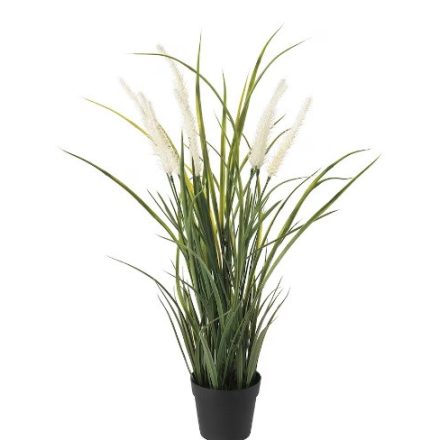 Műsás dekor növény, 9 cm magas.