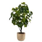 Cserepes műnővény, 15 cm magas.