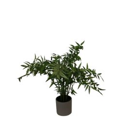 Mű bambusz növény. A növény ára a kaspót nem tartalmazza. Magassága: 47 cm