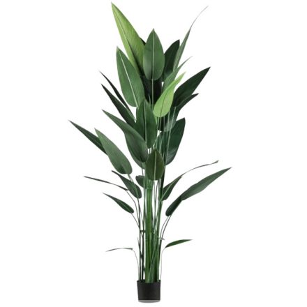 magassága 210 cm
