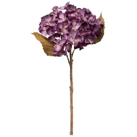 magassága: 46 cm